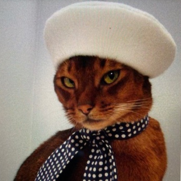 Purrrr⭐️I Found My Hat On Poshmark main image 14